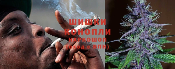 СК Богородск