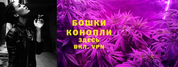 СК Богородск