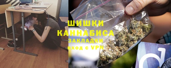 СК Богородск